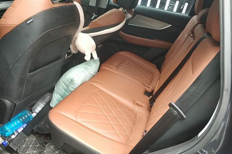 Used Chery Tiggo 8 PLUS 2021 290TGDI DCT Luxury Edition Left Rear Seat