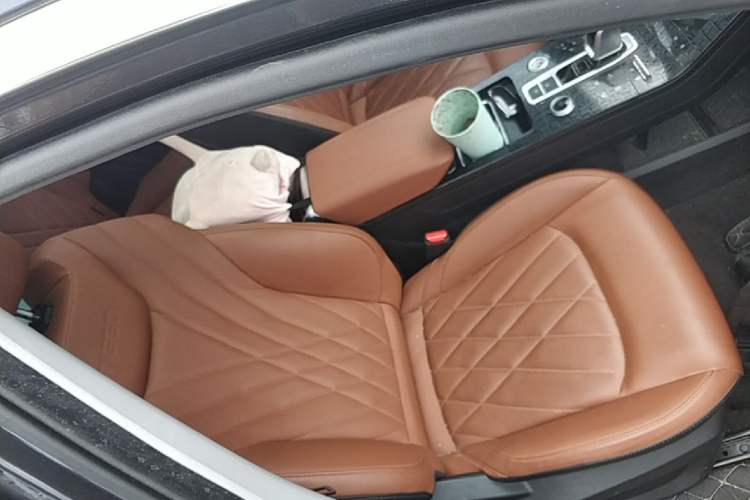 Used Chery Tiggo 8 PLUS 2021 290TGDI DCT Luxury Edition Right Front Seat