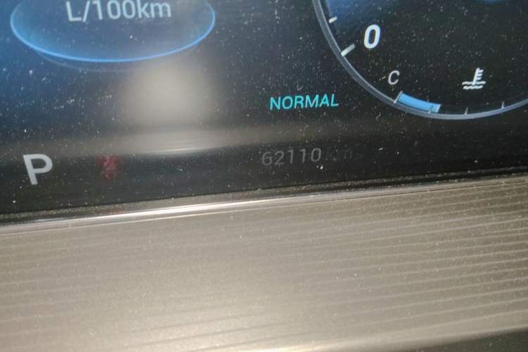 Used Chery Tiggo 8 PLUS 2021 290TGDI DCT Haoyao Edition Odometer Close Up