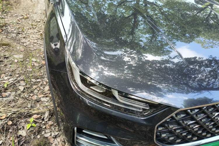 Used Chery Tiggo 8 PLUS 2021 290TGDI DCT Luxury Edition Right Front Headlight