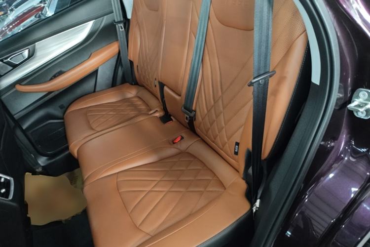 Used Chery Tiggo 8 PLUS 2021 290TGDI DCT Luxury Edition Left Rear Seat