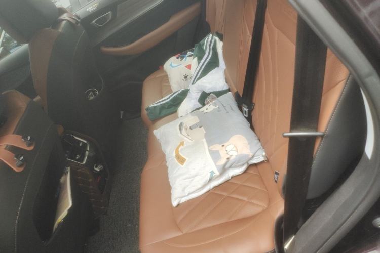 Used Chery Tiggo 8 PLUS  Left Rear Seat