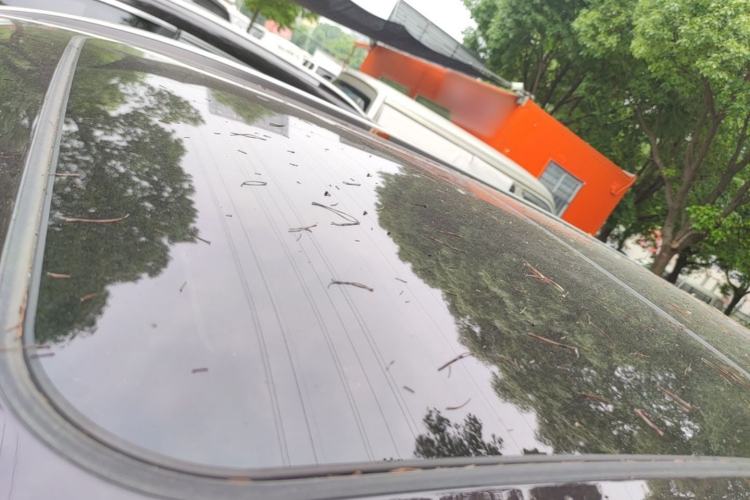 Used Chery Tiggo 8 PLUS 2021 290TGDI DCT Haoting Edition Roof
