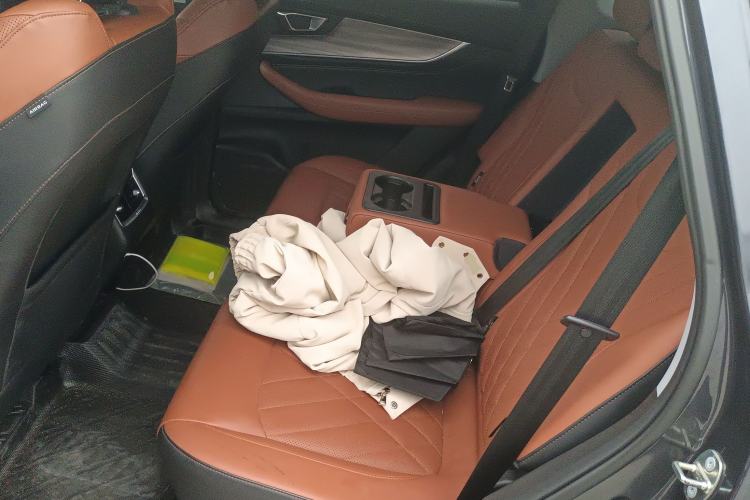 Used Chery Tiggo 8 PLUS 2021 290TGDI DCT Luxury Edition Left Rear Seat