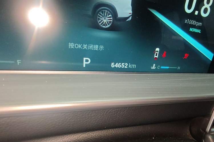 Used Chery Tiggo 8 PLUS 2021 290TGDI DCT Luxury Edition Odometer Close Up