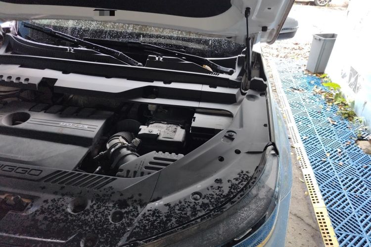 Used Chery Tiggo 8 PLUS 2021 290TGDI DCT Haoting Edition Engine Bay Left