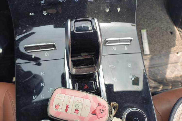 Used Chery Tiggo 8 PLUS 2021 290TGDI DCT Luxury Edition Gear Lever