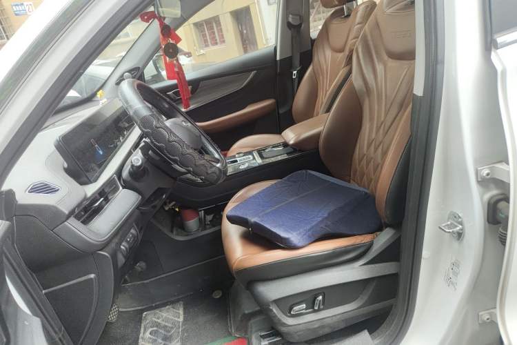 Used Chery Tiggo 8 PLUS 2021 290TGDI DCT Luxury Edition Left Front Seat