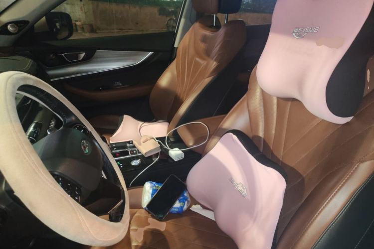 Used Chery Tiggo 8 PLUS 2021 290TGDI DCT Luxury Edition Left Front Seat