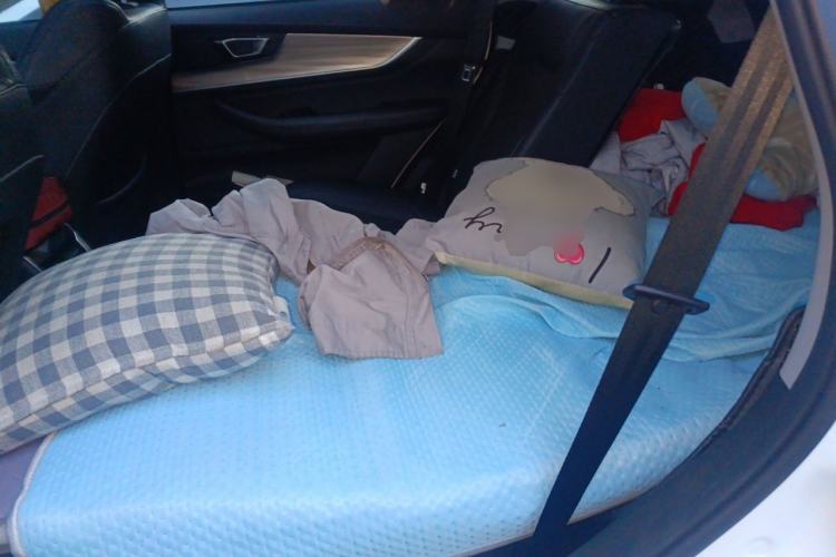 Used Chery Tiggo 8 PLUS 2021 290TGDI DCT Haoting Edition Left Rear Seat