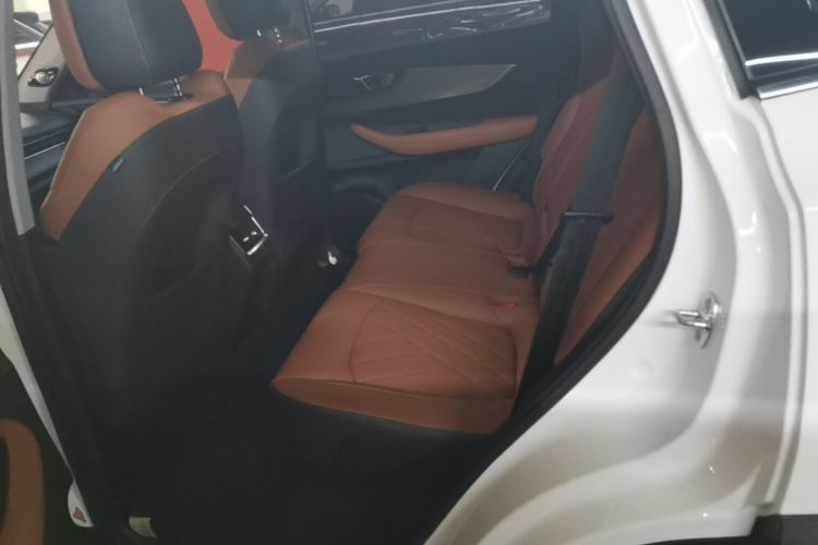Used Chery Tiggo 8 PLUS 2021 290TGDI DCT Luxury Edition Left Rear Seat