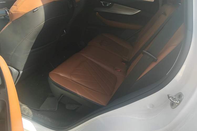 Used Chery Tiggo 8 PLUS 2021 290TGDI DCT Luxury Edition Left Rear Seat
