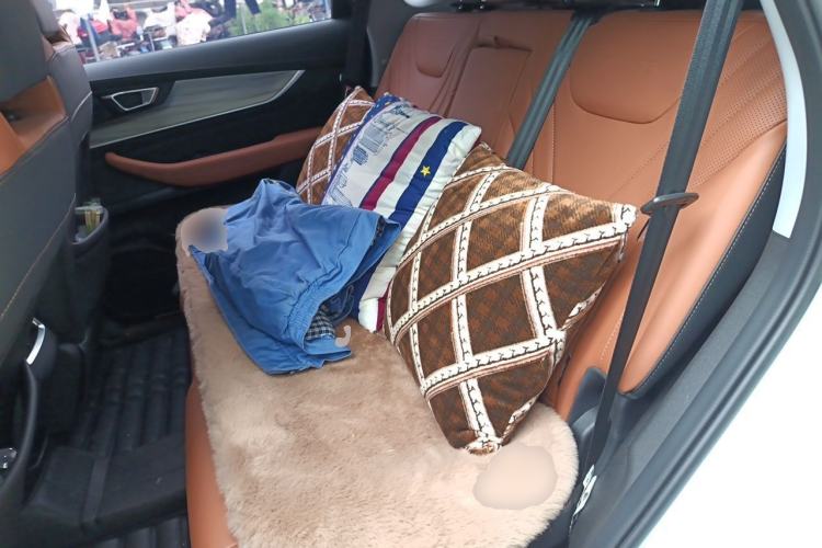 Used Chery Tiggo 8 PLUS 2021 290TGDI DCT Luxury Edition Left Rear Seat