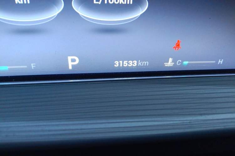 Used Chery Tiggo 8 PLUS 2021 290TGDI DCT Haoting Edition Odometer Close Up