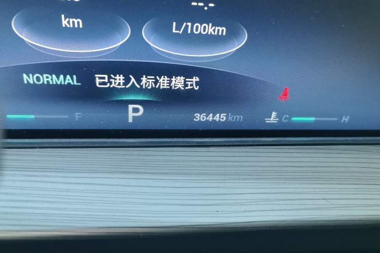 Used Chery Tiggo 8 PLUS 2021 290TGDI DCT Luxury Edition Odometer Close Up
