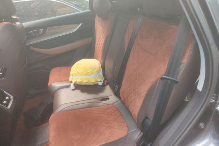 Used Chery Tiggo 8 PLUS 2022 290TGDI DCT Luxury Edition Left Rear Seat