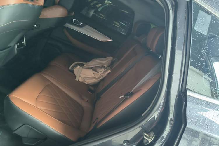 Used Chery Tiggo 8 PLUS 2022 290TGDI DCT Luxury Edition Left Rear Seat