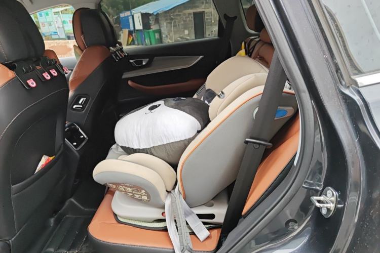 Used Chery Tiggo 8 PLUS 2022 290TGDI DCT Luxury Edition Left Rear Seat