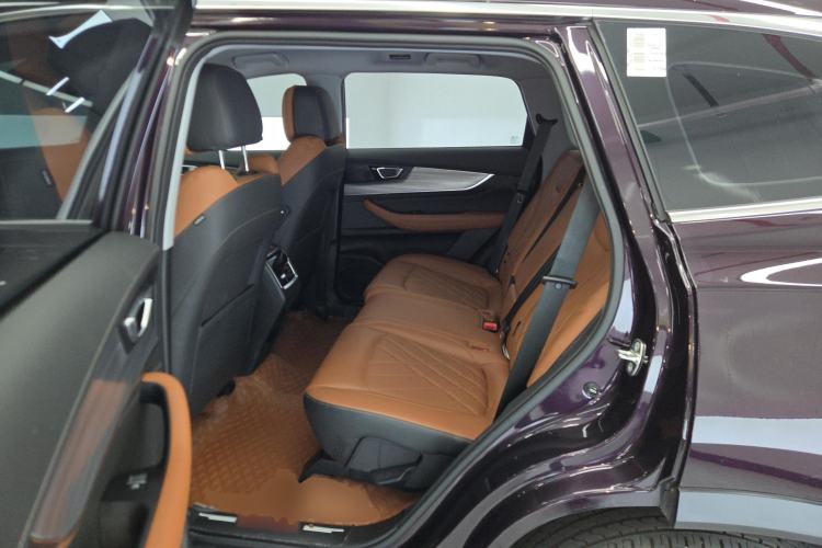 Used Chery Tiggo 8 PLUS 2022 Kunpeng Edition 390TGDI DCT Luxury Version Left Rear Seat