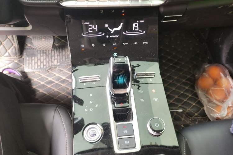 Used Chery Tiggo 8 PLUS 2022 290TGDI DCT Haoting Edition Gear Lever