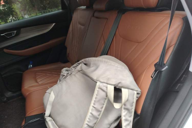 Used Chery Tiggo 8 PLUS 2022 Kunpeng Edition 390TGDI DCT Four-Wheel Drive Luxury Version Left Rear Seat