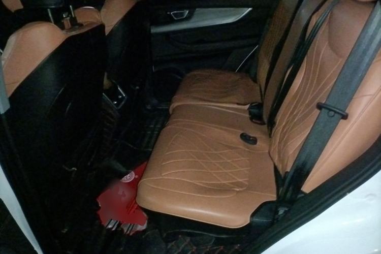 Used Chery Tiggo 8 PLUS 2022 290TGDI DCT Haoting Edition Left Rear Seat