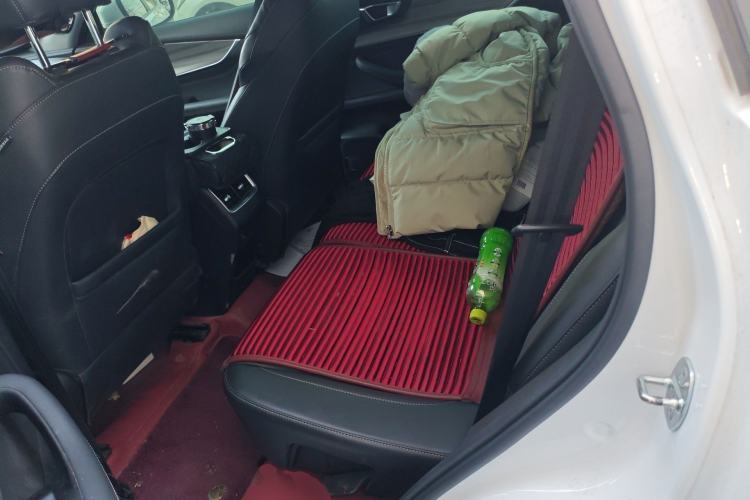 Used Chery Tiggo 8 PLUS 2022 290TGDI DCT Haoting Edition Left Rear Seat