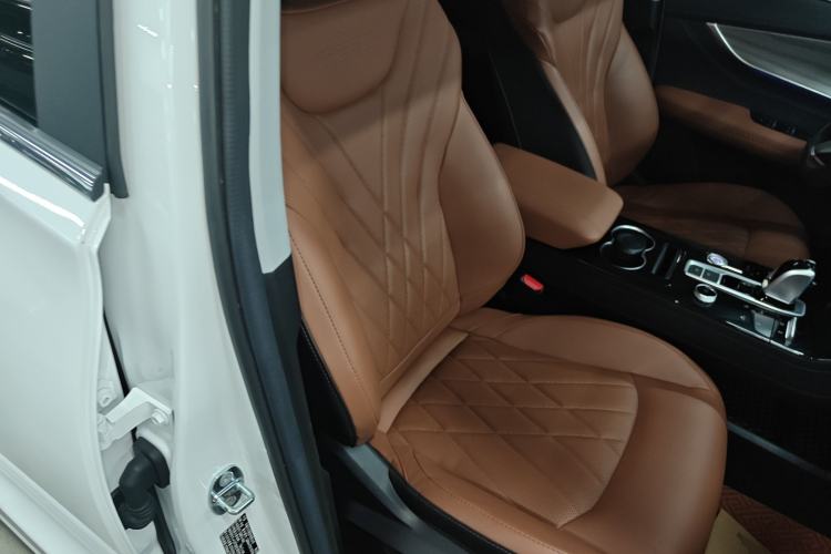 Used Chery Tiggo 8 PLUS 2022 290TGDI DCT Luxury Edition Right Front Seat