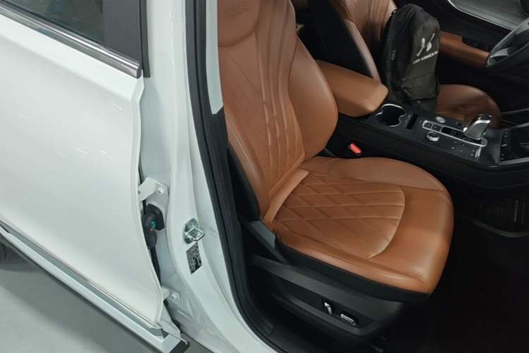 Used Chery Tiggo 8 PLUS 2022 290TGDI DCT Luxury Edition+ Right Front Seat