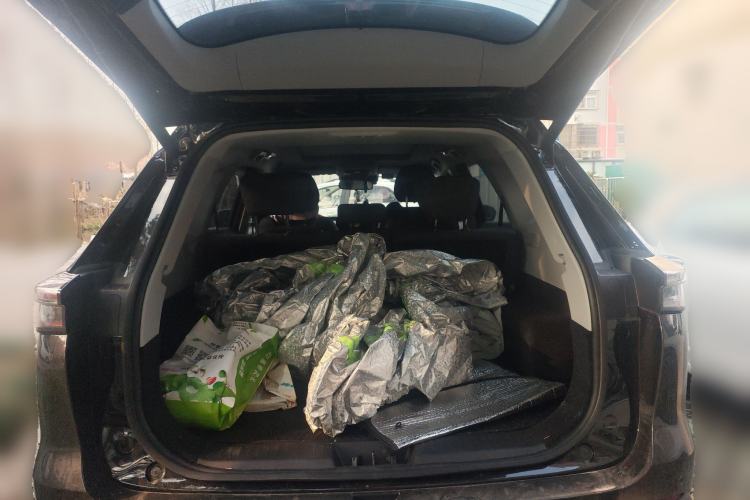 Used Chery Tiggo 8 PLUS 2025 290TGDI DCT Luxury 5-Seater Trunk