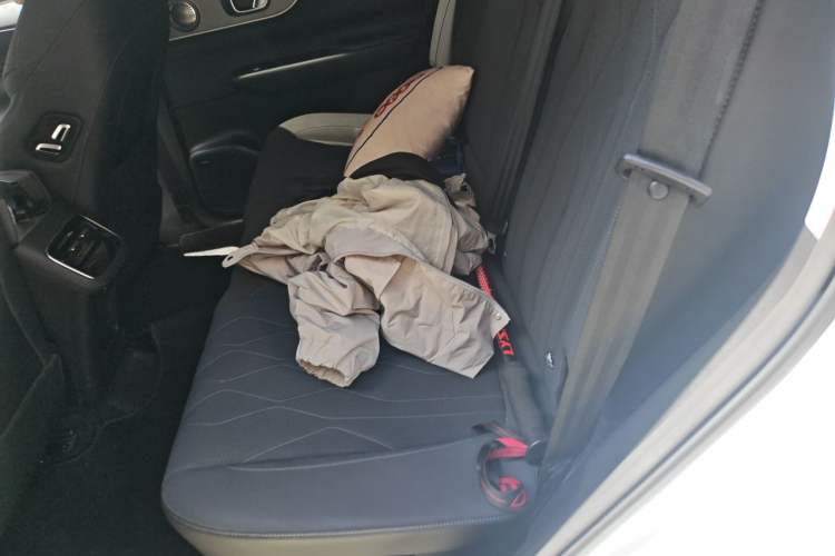 Used Chery Tiggo 8 PLUS 2025 290TGDI DCT Luxury 5-Seater Left Rear Seat