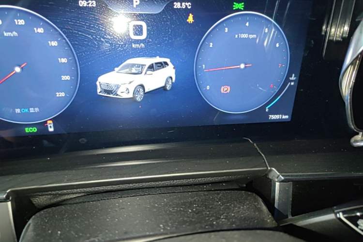 Used Chery Tiggo 8 PRO 2022 290T Two-Wheel Drive Haohan Edition 5 Seats Odometer Close Up