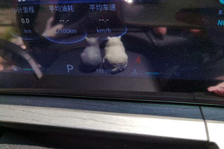 Used Chery Tiggo 8 PRO 2022 390T Two-Wheel Drive Sky Dome Edition 5 Seats Odometer Close Up