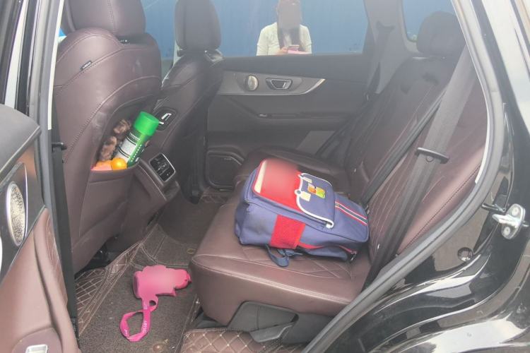 Used Chery Tiggo 8 PRO 2024 Champion Edition 290T Two-Wheel Drive Peak Version 5 Seats Left Rear Seat