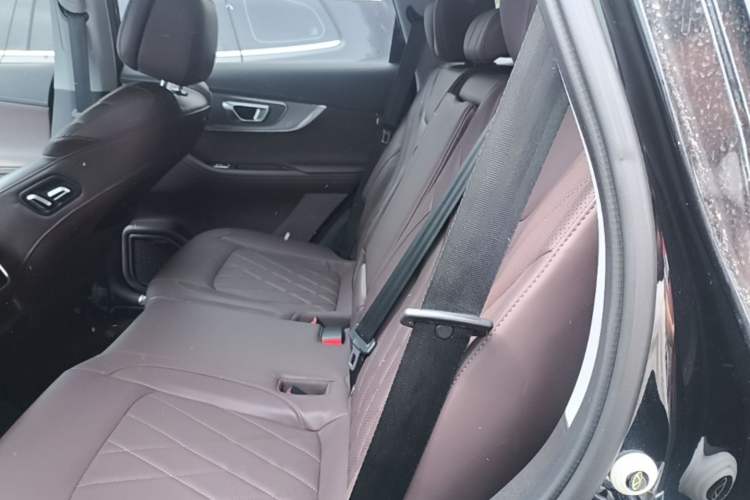 Used Chery Tiggo 8 PRO 2024 Champion Edition 390T Two-Wheel Drive Aoshi Version 7 Seats Left Rear Seat