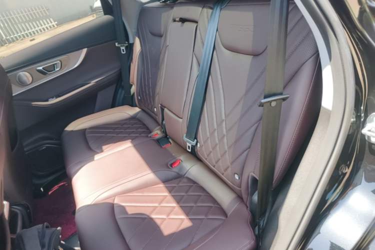 Used Chery Tiggo 8 PRO 2024 Champion Edition 290T Two-Wheel Drive Peak Version 5 Seats Left Rear Seat