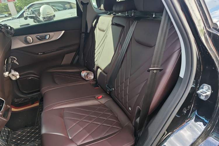 Used Chery Tiggo 8 PRO 2024 Champion Edition 290T Two-Wheel Drive Peak Version 5 Seats Left Rear Seat