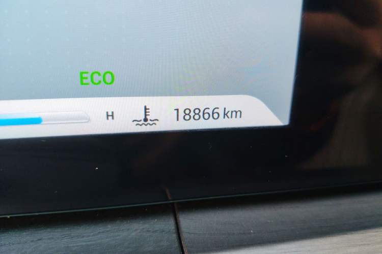 Used Chery Tiggo 8 PRO 2024 Champion Edition 390T Two-Wheel Drive Peak Version 7 Seats Odometer Close Up