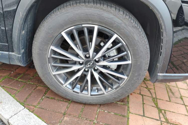 Used Chery Tiggo 8 PRO 2024 Champion Edition 290T Two-Wheel Drive Shining Version 5 Seats Right Front Wheel Hub