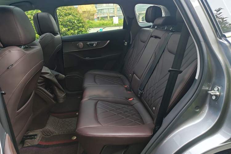 Used Chery Tiggo 8 PRO 2024 Champion Edition 390T Two-Wheel Drive Peak Version 5 Seats Left Rear Seat