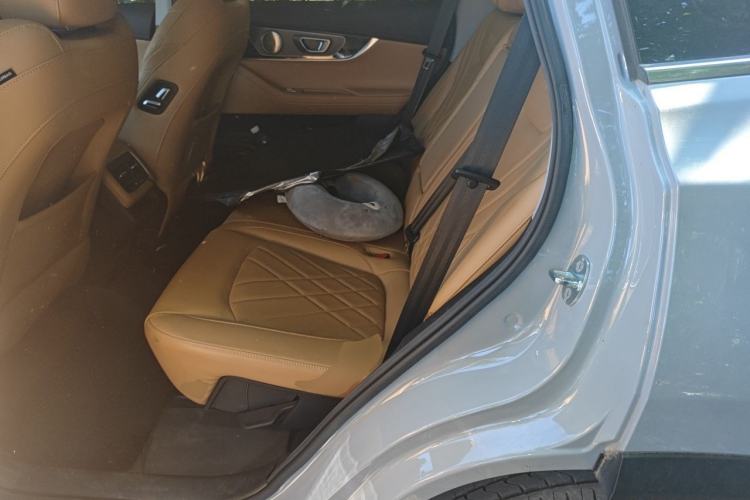 Used Chery Tiggo 8 PRO 2024 Champion Edition 390T Two-Wheel Drive Peak Version 5 Seats Left Rear Seat