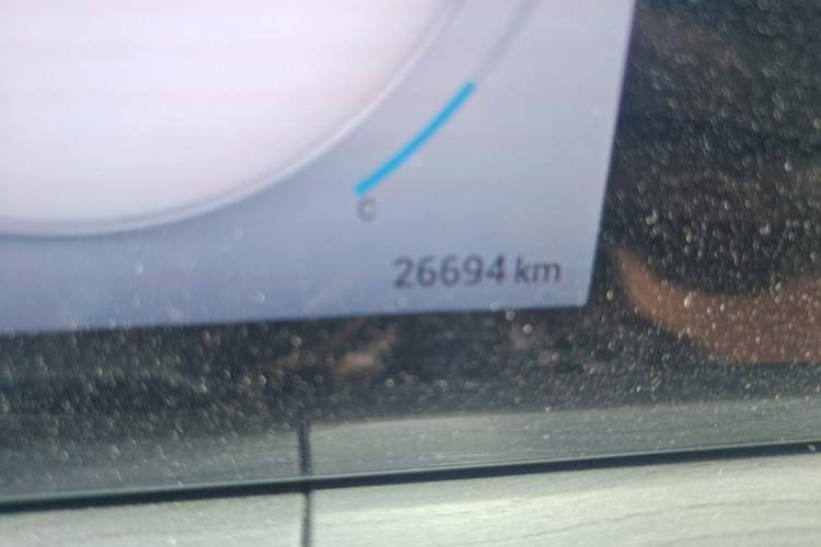Used Chery Tiggo 8 PRO 2024 Champion Edition 290T Two-Wheel Drive Peak Version 7 Seats Odometer Close Up