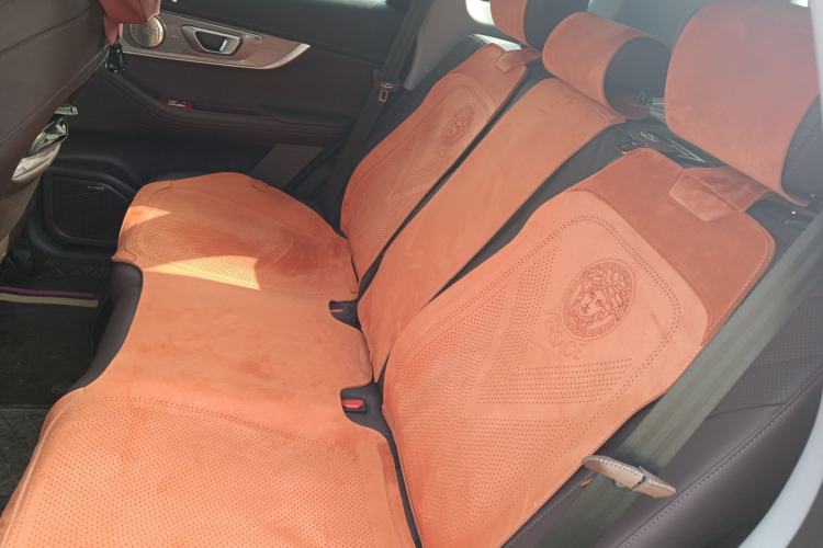 Used Chery Tiggo 8 PRO 2024 Champion Edition 390T Two-Wheel Drive Peak Version 5 Seats Left Rear Seat