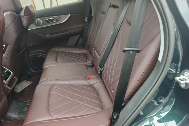 Used Chery Tiggo 8 PRO 2024 Champion Edition 390T Two-Wheel Drive Peak Version 5 Seats Left Rear Seat