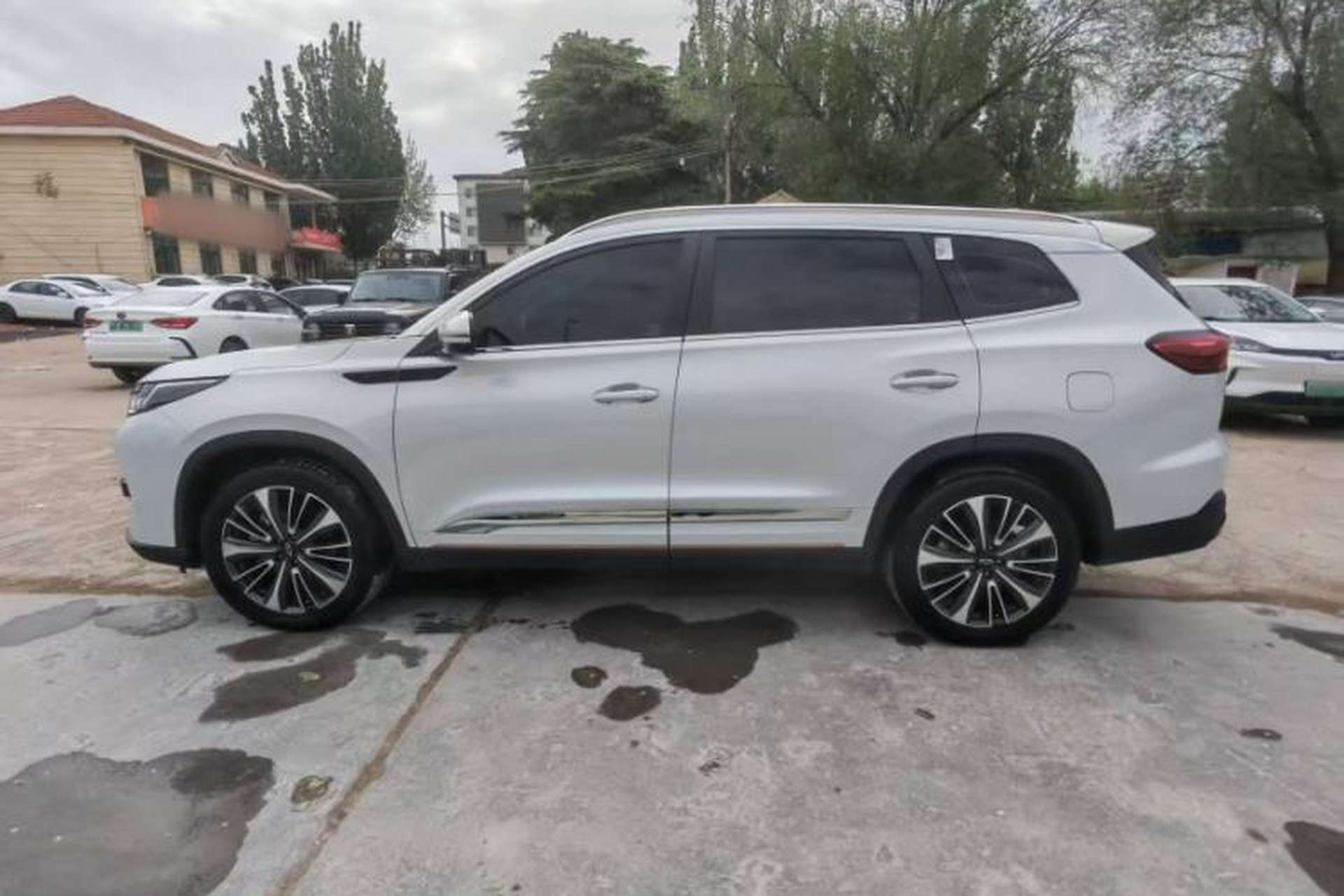 Used Chery Tiggo 8 PRO 2024 Champion Edition 390T Two-Wheel Drive Aoshi Version 5 Seats Exterior 6