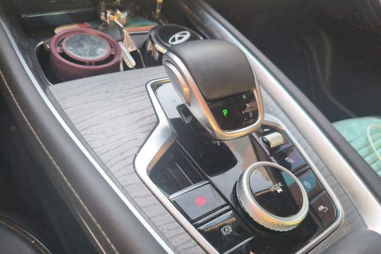 Used Chery Tiggo 8 PRO 2024 Champion Edition 290T Two-Wheel Drive Shining Version 5 Seats Gear Lever