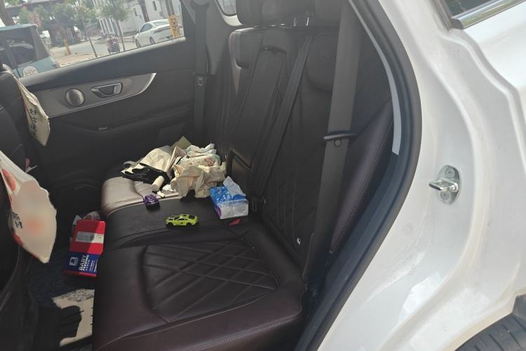 Used Chery Tiggo 8 PRO 2024 Champion Edition 390T Two-Wheel Drive Peak Version 5 Seats Left Rear Seat