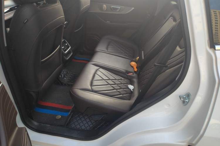 Used Chery Tiggo 8 PRO 2024 Champion Edition 390T Two-Wheel Drive Peak Version 5 Seats Left Rear Seat