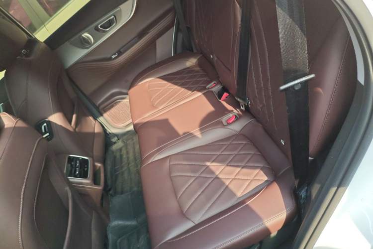 Used Chery Tiggo 8 PRO 2024 Champion Edition 290T Two-Wheel Drive Peak Version 5 Seats Left Rear Seat