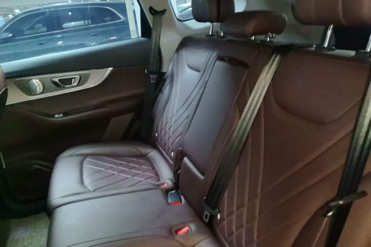 Used Chery Tiggo 8 PRO 2024 Champion Edition 390T Two-Wheel Drive Peak Version 5 Seats Left Rear Seat